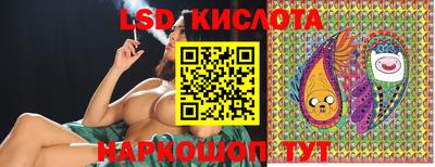 твердый Камышлов