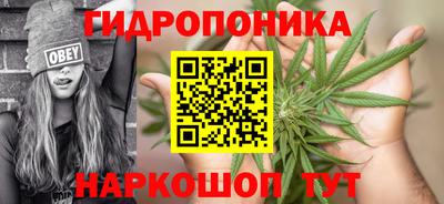 твердый Камышлов